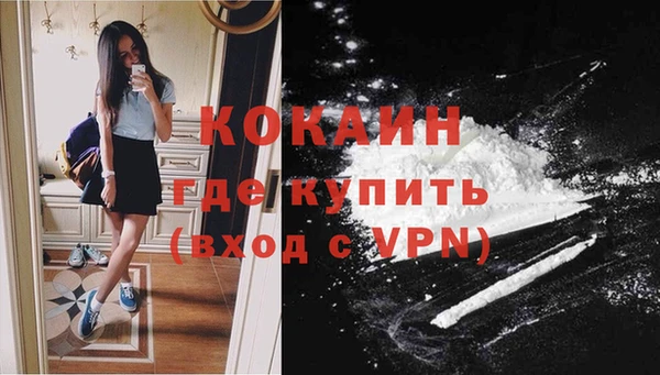 дживик Мегион