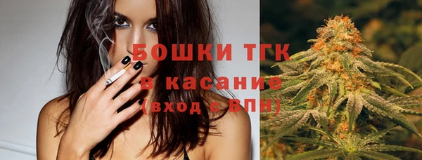 дживик Мегион