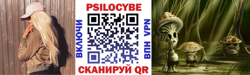 Псилоцибиновые грибы Psilocybe Купить Новое Девяткино